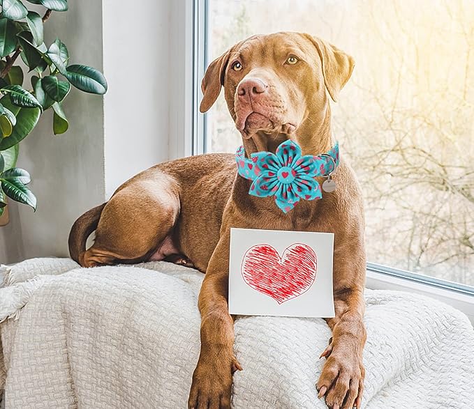 DOGWONG Valentine's Dog Collar with Flower - Blue Heart Adjustable Cotton Heart Dog Collar - Perfect for Small, Medium, Large Dogs