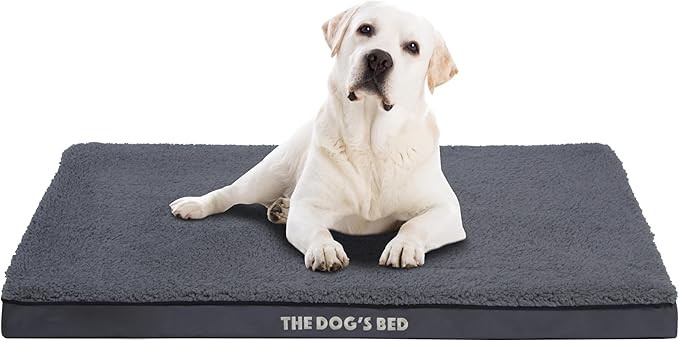 The Dog’s Bed Orthopedic Standard Foam Dog Bed Mattress, Plush Fabric, Grey, XL