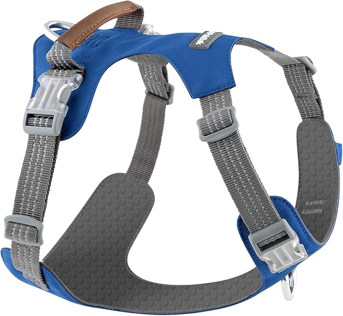 No Pull Dog Harness – Adjustable Reflective Nylon Vest for Small Medium Large Dogs, Escape Proof Training Harness with Leather Control Handle, Lightweight Aluminum Hardware (Royal Blue, XL)