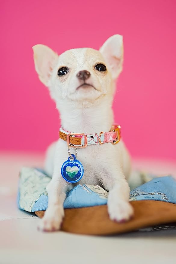 Dog Tag Art Nature and Outdoors Custom Pet ID Tag for Dogs and Cats, Personalized Dog Tag with Customized Identification, Love The Earth, Large (1.25" Diameter)