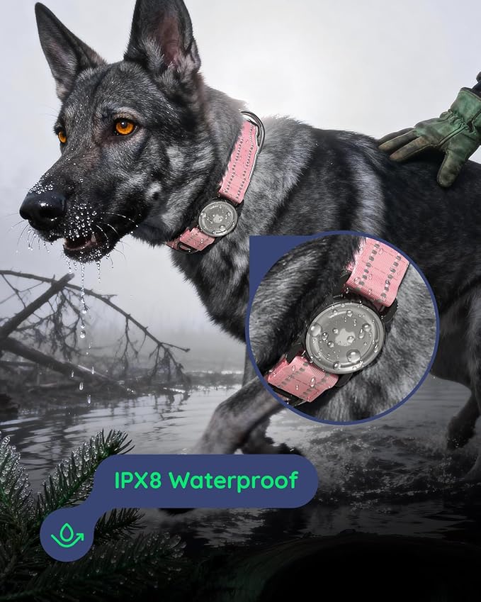 Upgrade Airtag Dog Collar,with IPX8 Waterproof AirTag Holder | Reflective Ultra-Durable | Soft Padded | Lock Buckle | Heavy Duty | Fit Small Medium Large Dogs（Pink1，S(12"～15")）