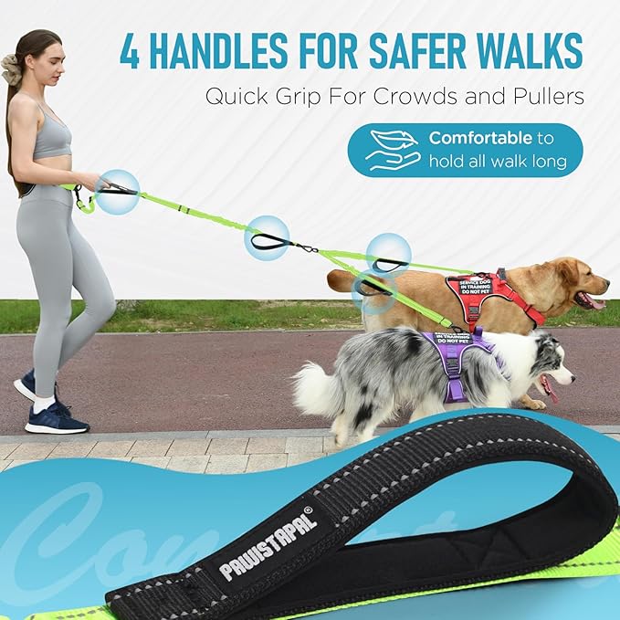 Hands Free Dog Leash, Waist Bungee Leash for 2 Large Dogs, 6-8ft No-Tangle Heavy Duty Leashs(50-120 lbs)