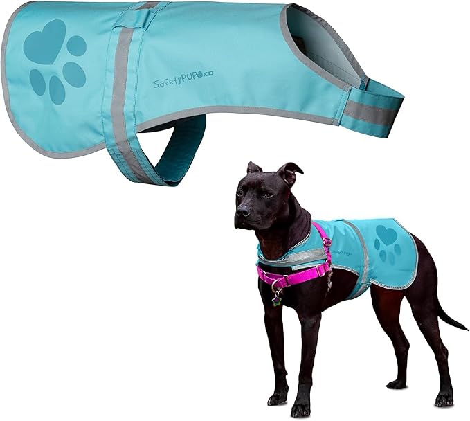 SafetyPUP XD Dog Reflective Vest – Hi-Vis Fluorescent Visibility That Helps to Safeguard Your Pet On/Off Leash in Urban & Rural Areas (Teal, Medium)