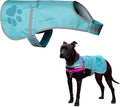 SafetyPUP XD Dog Reflective Vest – Hi-Vis Fluorescent Visibility That Helps to Safeguard Your Pet On/Off Leash in Urban & Rural Areas (Teal, Medium)