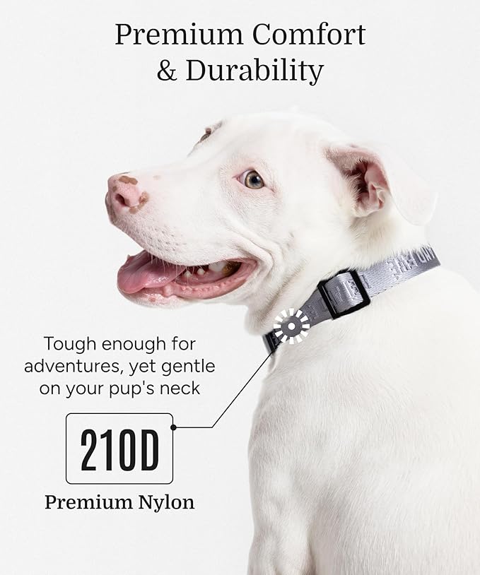 2026 New Edition, Fei & Eve MagEase Dog Collar - Patented Magnetic Buckles | Fur-Safe | Premium 210D Nylon | 450LB Escape-Proof | Adjustable Fit | Medium (Twilight Gray)