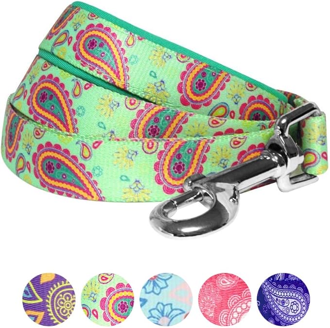Blueberry Pet 5 Colors Paisley Flower Print Dog Leash with Soft & Comfortable Handle, 4 ft x 1", Emerald Green, Large, Leashes for Dogs