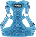 Best Pet Supplies Voyager Adjustable Step-In Flex Breathable Mesh Dog Harness for Small Medium Large Dogs (Baby Blue), S