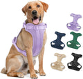 No Pull Lightweight Dog Harness: Adjustable Durable Breathable Mesh Pet Vest Harness with Soft & Comfortable Cushion, for Small Medium Large Dogs (Lilac, L)