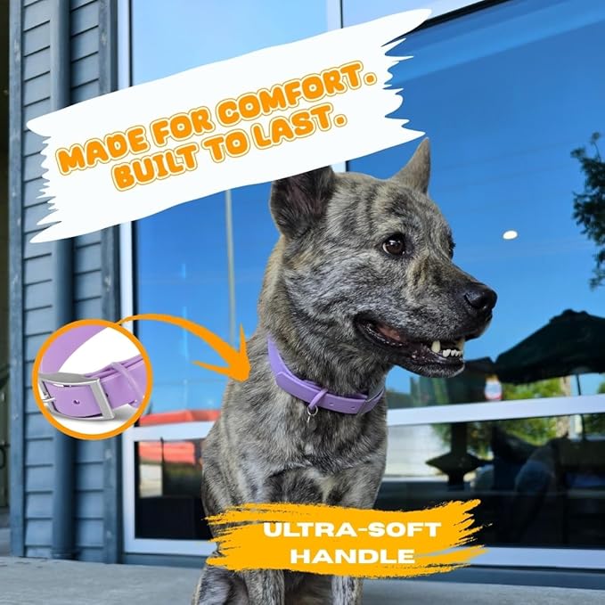 Waterproof Dog Collar, Soft Comfortable Pet Collars, Adjustable Odor Proof Heavy Duty Dog Collars Easy to Clean for Large, Medium Small Dogs by Bee N Buu (Purple, Small (length8-12, Width 3/4"))