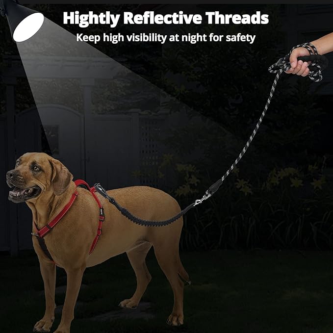 Long Dog Leash 30 FT: Heavy Duty Rope Leashes for Dogs Training with Swivel Lockable Hook Reflective Threads Bungee and Padded Handle - Dog Lead for Large Small Medium Dogs Outside Walking Hiking