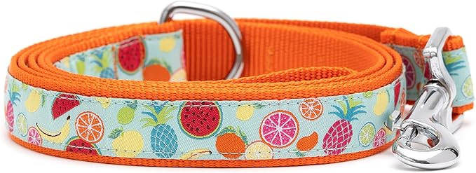 THE WORTHY DOG Tutti Frutti Patterned Nylon Leash for Dogs, Stylish, Durable, Woven Ribbon - Blue/Orange, Large