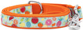 THE WORTHY DOG Tutti Frutti Patterned Nylon Leash for Dogs, Stylish, Durable, Woven Ribbon - Blue/Orange, Small