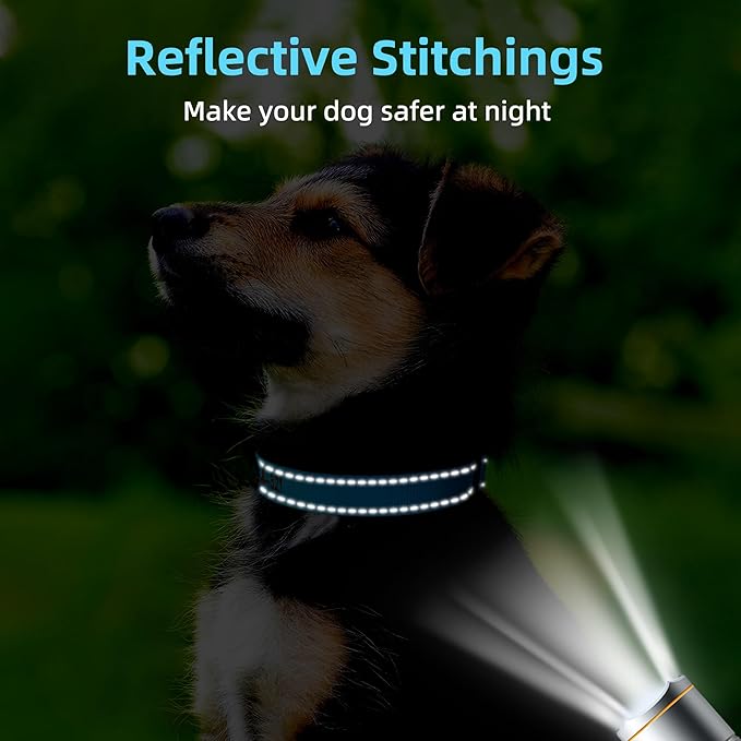 Personalized Dog Collar, Embroidered with Pet Name and Phone Number, Soft Neoprene Padded, Durable Nylon with Quick-Release Buckle Adjustable for Small Medium Large Dogs(Solid with Padded)