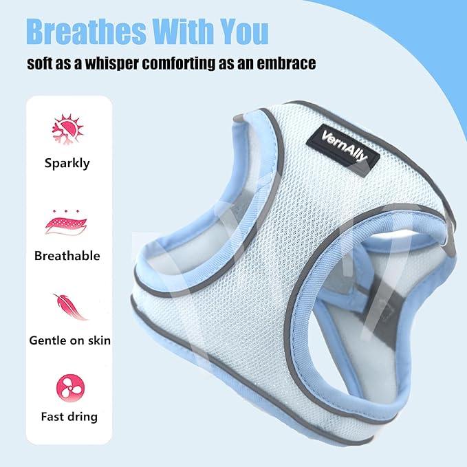 Sparkly Dog Harness Small Sized and Leash Set for Small Dogs Cats,Blue XXS Puppy Harness, Step in Soft Dog Reflective Vest, Breathable Mesh Pet Harness. (Blue, XXS)