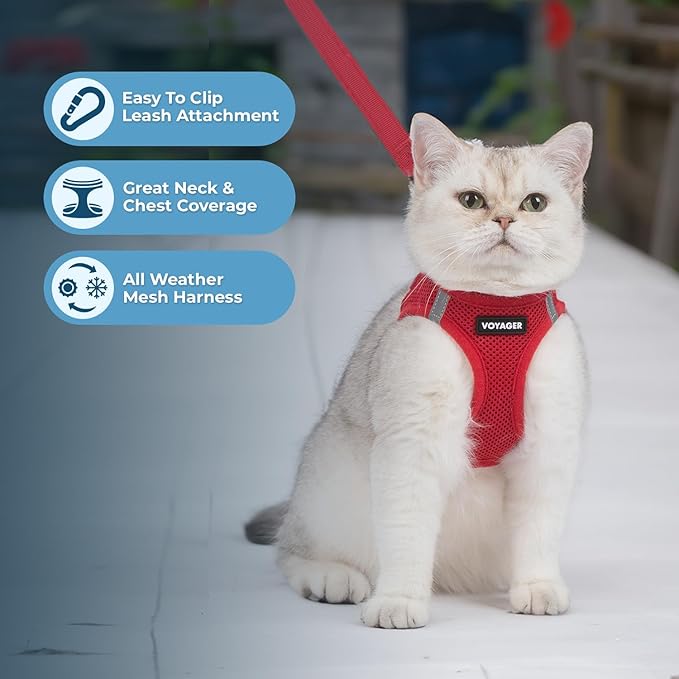 Voyager Step-in Pet Harness - All Weather Mesh, Adjustable Step in Harness for Cats and Dogs by Best Pet Supplies - 307S Red, M