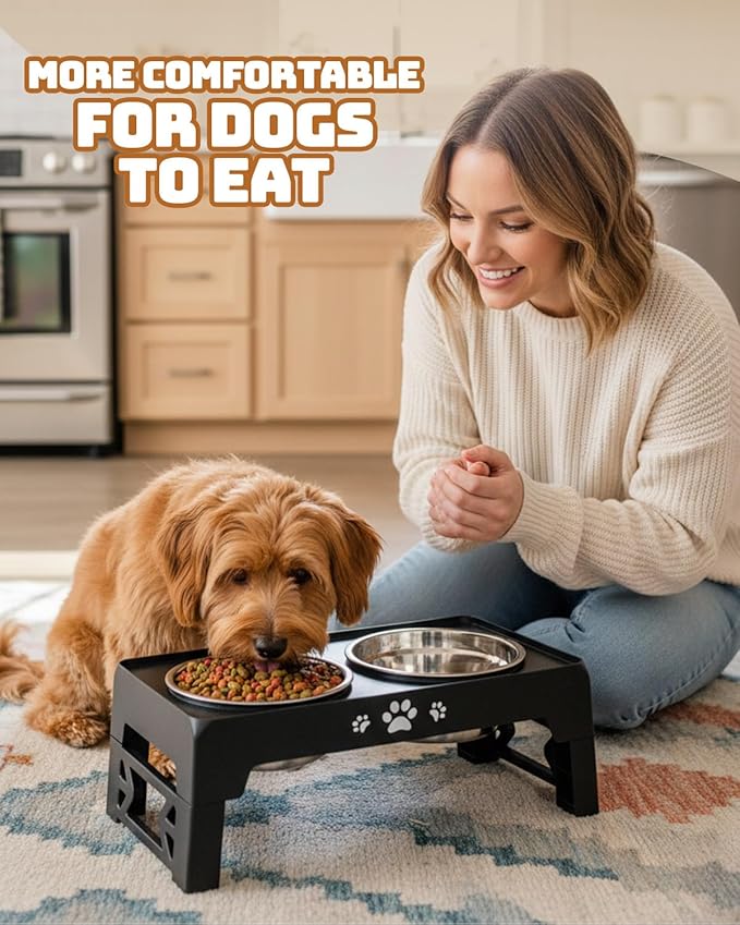 Elevated Dog Bowls, Dog Feeder with 2 Stainless Steel Dishes, 2 Heights Adjustable Raised Stand for Small Dogs, Food Dishes with Non-Slip Feet