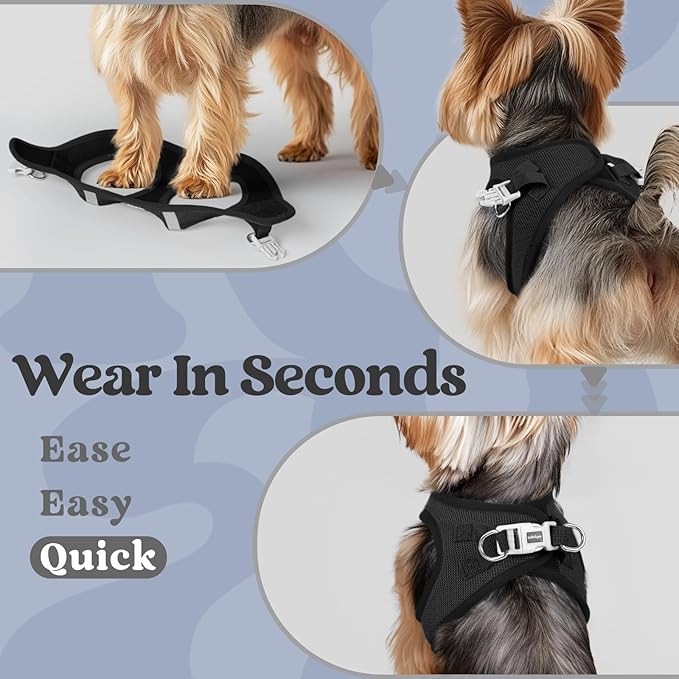 rabbitgoo Small Dog Harness, Step-in Soft Mesh Puppy Vest with Safety Buckle, Breathable Reflective Pet Harness for Extra Small Dogs, Black XXXS