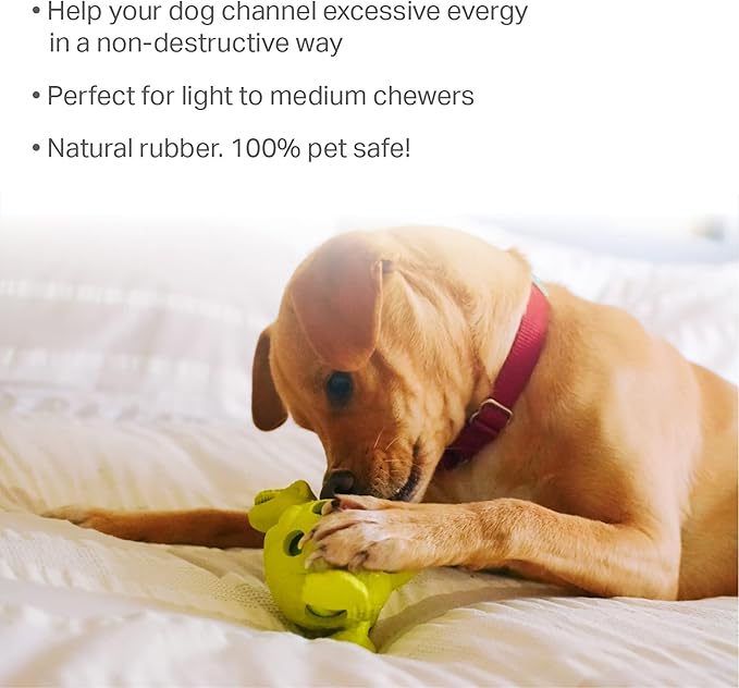 Friends Forever Squeaky Dog Toys with Tennis Ball, Tough Dog Chew Toy, Interactive Fun Indoor Play, Non-Toxic Durable Natural Rubber Puppy Teething, Dinosaur Citron/Orange 2 Piece