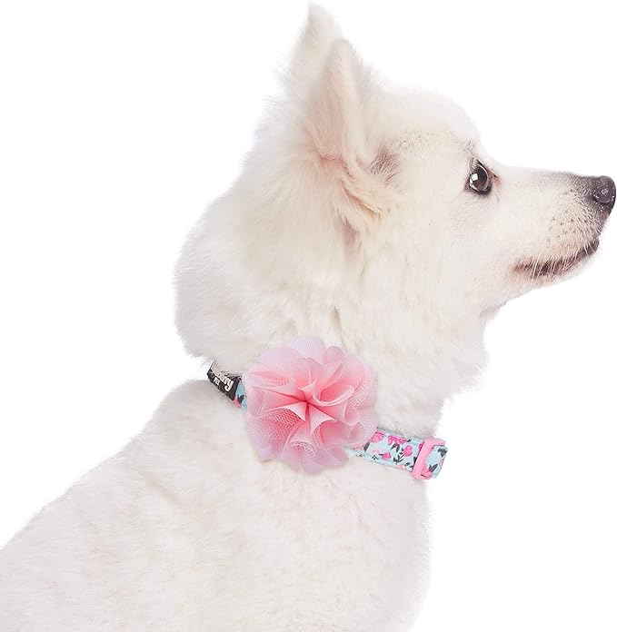 Blueberry Pet Made Well Cute Floral Print Adjustable Dog Collar in Light Blue with Pink Silk Flower, X-Small, Neck 7.5-10", Dog Collars for Small Dogs, Puppy Collar, Extra Small Dog Collar