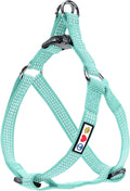 Pawtitas Reflective Step-in Dog Harness – Adjustable No-Pull Vest for Puppies to Seniors, Safe & Comfortable, S Teal