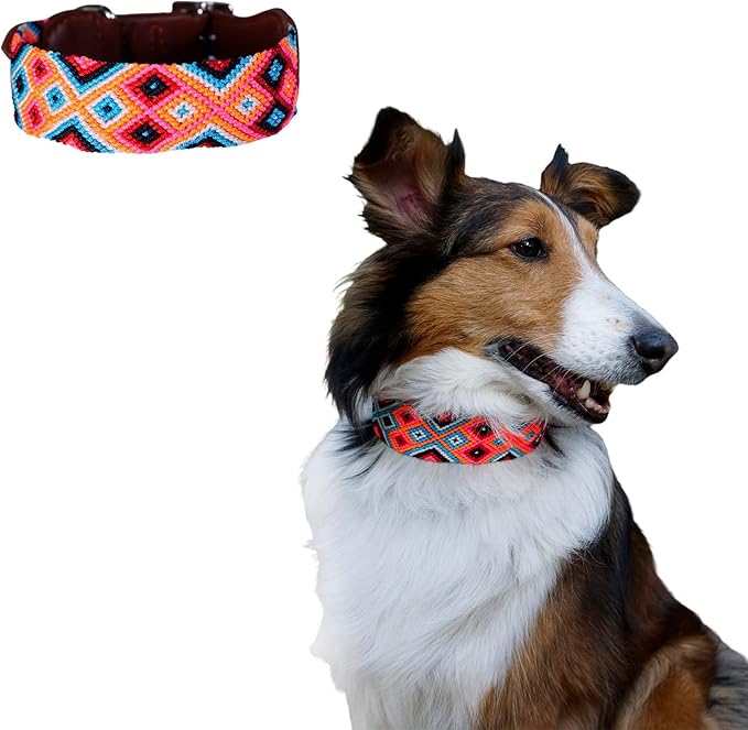 Eternia Premium Leather Dog Collar - Adjustable Handcrafted Collar for Small to Large Dogs (Pink/Orange, XL)