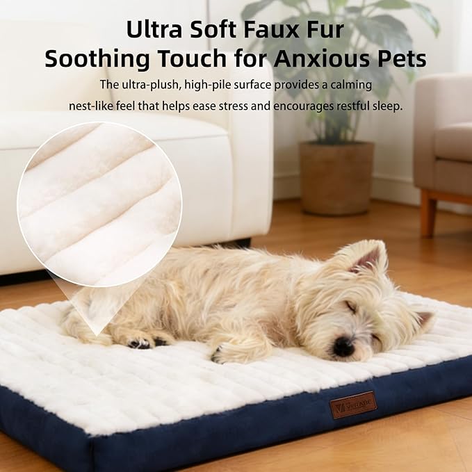 Orthopedic Dog Bed with Firm High-Density Egg Crate Foam, Machine Washable Cover & Non-Slip Bottom for Medium & Large Breeds (Blue, 35" L x 22" W x 3" H)