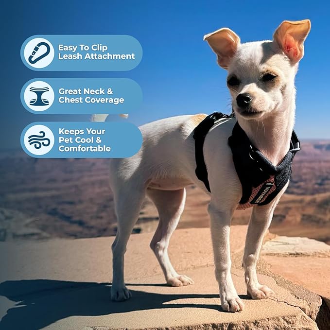 Voyager Step-in Pet Harness - All Weather Mesh, Adjustable Step in Harness for Cats and Dogs by Best Pet Supplies - Pink/Black Trim, L