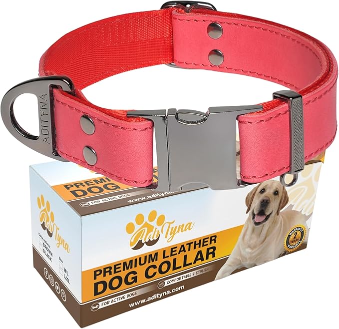 ADITYNA Red Leather Dog Collar with Metal Buckle - Heavy-Duty, Adjustable for Medium & Large Dogs (Red, Fits 15-21" Necks)