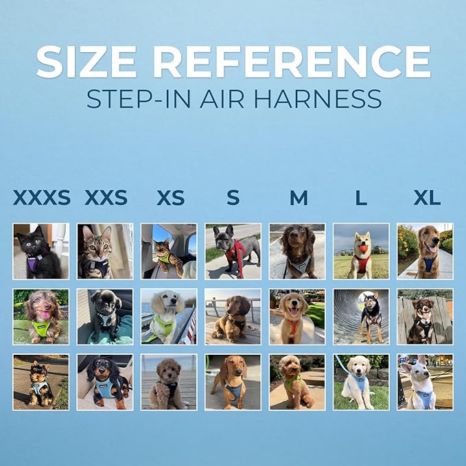 Best Pet Supplies Voyager Step-in Air Harness - All Weather Mesh, Reflective, No Pull Harness for Dogs, Cats - Secure with Hook & Loop Fastener, Buckle, Double D-Rings - Turqupise 2-Tone, XS