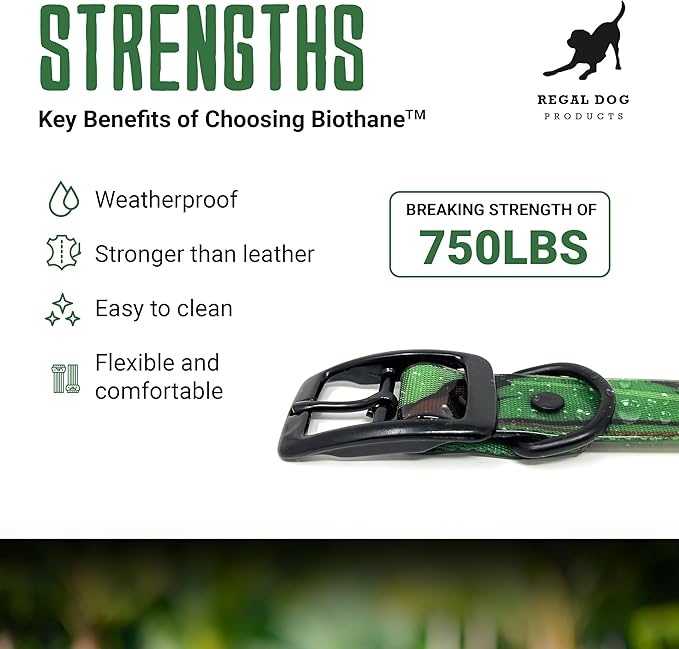 Regal Dog Products Green Camo Hunting Dog Collar with Custom Engraved Name Plate and Heavy Duty Black Hardware Center Ring | Waterproof Personalized Dog Collars | Other Sizes for Small, Medium & Large