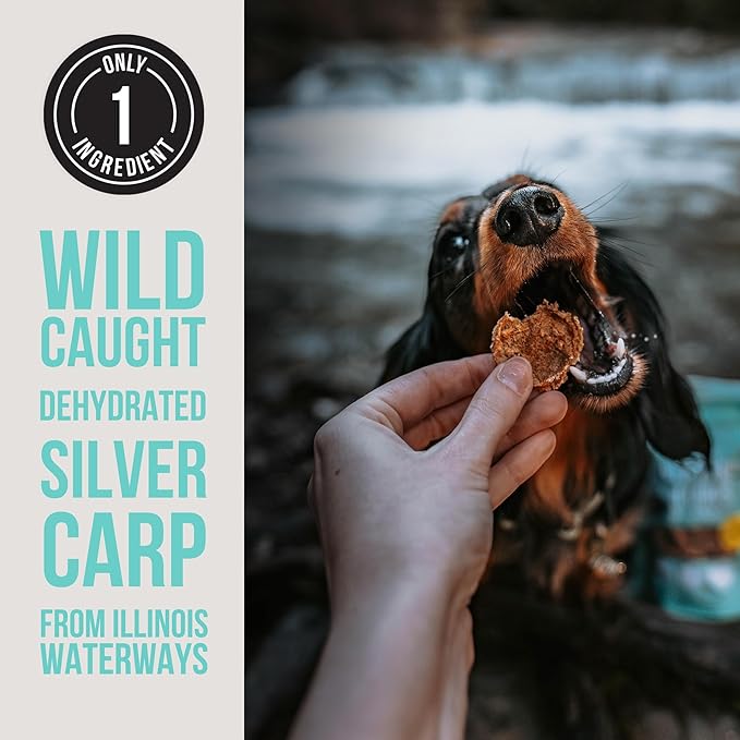 Natural Rapport Dehydrated Fish Dog Treats - The Only Silver Carp Fish Chips Dogs Need - All Natural Dog Treats for Small and Large Dogs (3 oz)