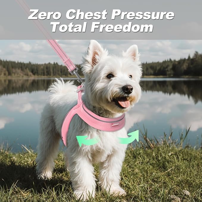 Dog Harness and Leash Set,Step in Small Sized Dog Harness,Soft Mesh,No-Chock,Reflective Adjustable,Secure with Hook & Loop Fastener,Puppy Vest for Small,Medium Dogs(Baby Pink,XXXS)