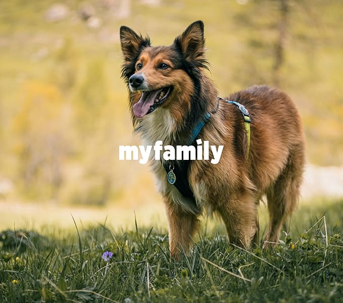 MyFamily Adjustable Polyester Dog Collar Made in Italy, Your Dog's Master Data Always with You, Comfortable and Durable, Handmade, Memopet Collection