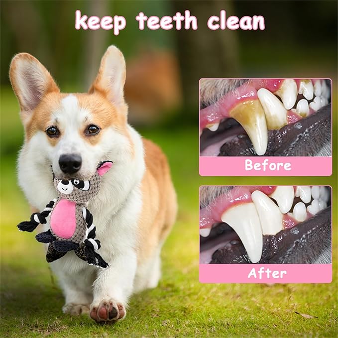Plush Dog Chew Toys,Squeaky Dog Toys for Aggressive Chewers, Stuffed Animals Dog Toys for Small Medium Large Dogs to Keep Them Busy Puppy Teething Toys（Raccoon）