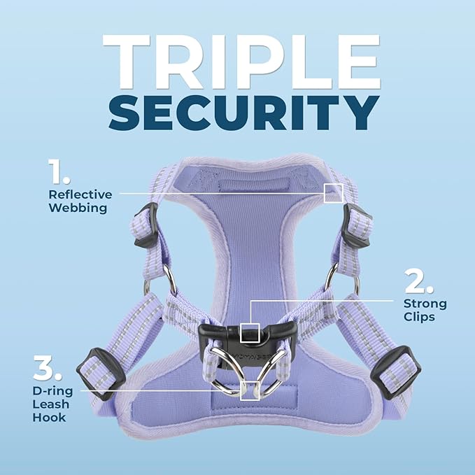 Best Pet Supplies Voyager Adjustable Step-in Flex Breathable Mesh Dog Harness for Small Medium Large Dogs (Lavender), XL