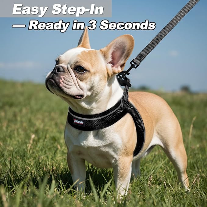 Dog Harness and Leash Set,Step in Small Sized Dog Harness,Soft Mesh,No-Chock,Reflective Adjustable,Secure with Hook & Loop Fastener,Puppy Vest for Small,Medium Dogs(Black,XXXS)