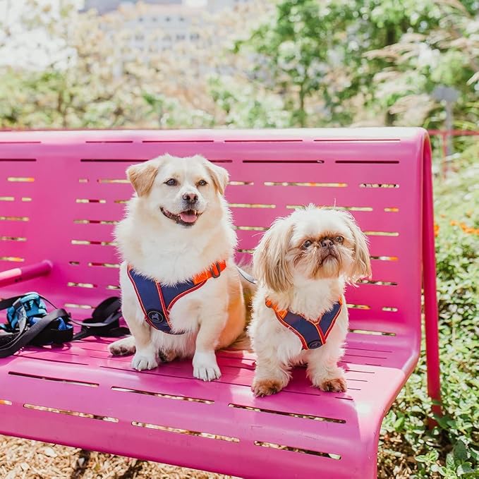 Gooby Comfort X Step in Harness V2 - X-Large, Navy(Red) - No Pull Small Dog Harness with Patented Adjusting Choke-Free X Frame - Perfect on The Go Dog Harness for Medium Dogs No Pull and Small Dogs