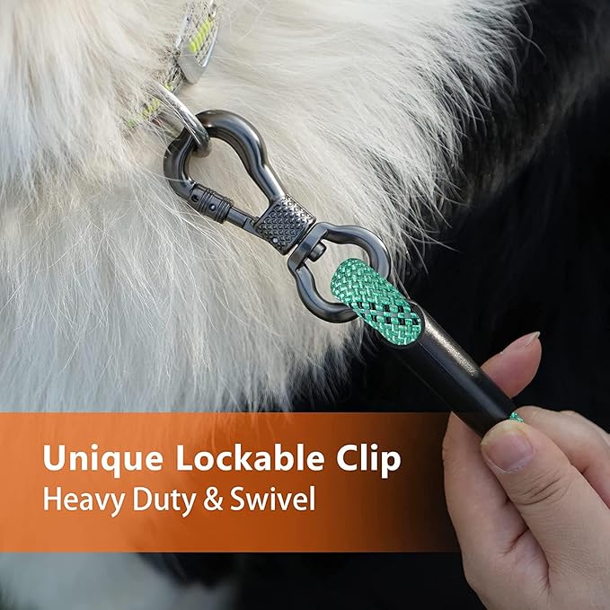 Long Dog Leash for Dog Training 10FT/15FT/20FT/30FT/40FT/50FT/100FT Reflective Leash with 2 Hooks, Heavy Duty Dog Lead for Large Medium Small Dogs Outside Walking Camping Yard,Teal 50FT
