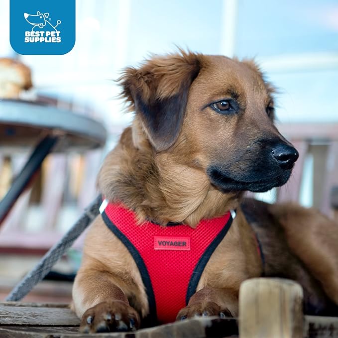 Best Pet Supplies - All Weather Mesh/Plush, Reflective, No Pull Harness for Small, Medium Dogs, Cats - Secure with Hook & Loop Fastener, Buckle, Double D-Rings - Black/Red Trim, M