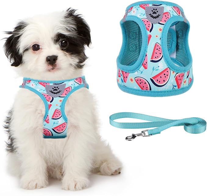 KOOLTAIL Dog Harness and Leash Set for Small Medium Dogs, Step in No Pull Soft Mesh Dog Harness Comfort Padded Pet Vest, Adjustable Reflective Easy Walking Puppy Cats Harness Training, Watermelon XS