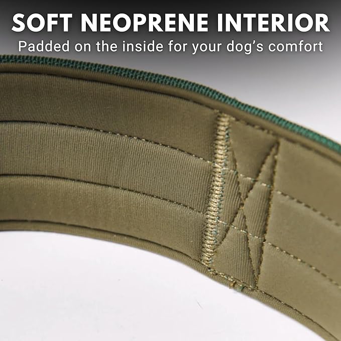 Spark Paws Tactical Dog Collar - Heavy Duty, Premium Quality, Thick and Durable for Large and Medium Dogs - Solid Green - L