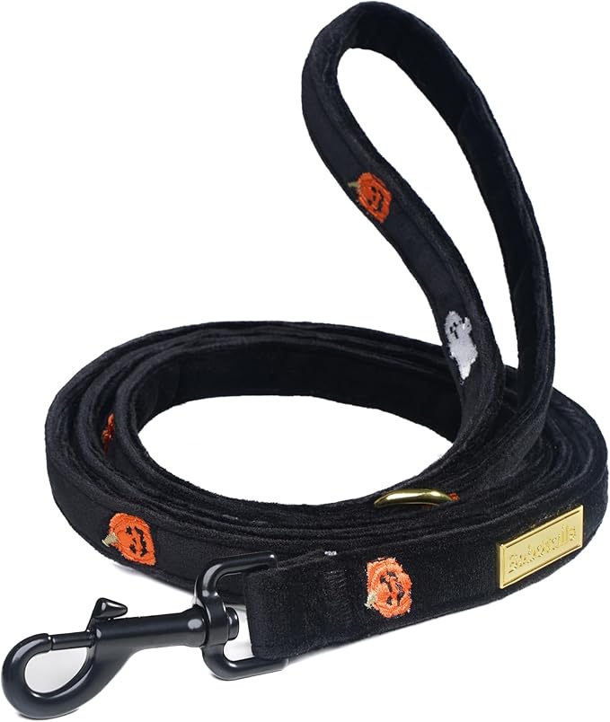 5 FT Stylish Dog Leash, Soft Dog Leashes with Comfortable Padded Handle, Metal Carabiner Clip, Strong No Pull Pet Leash for Small Medium Dogs for Walking, Shopping and Running