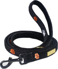 5 FT Stylish Dog Leash, Soft Dog Leashes with Comfortable Padded Handle, Metal Carabiner Clip, Strong No Pull Pet Leash for Small Medium Dogs for Walking, Shopping and Running
