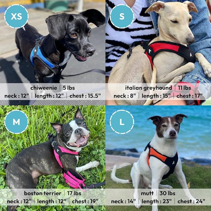 Gooby Escape Free Easy Fit Harness - Black, Small - No Pull Step-in Patented Dog Harness with Quick Release Buckle for Small to Medium Dogs