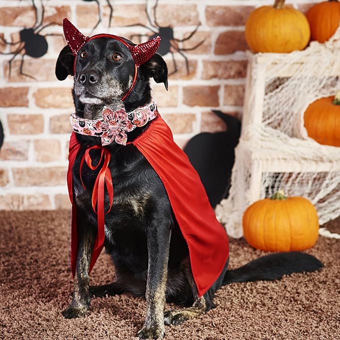 Elegant little tail Dog Collar with Flower, Fall Dog Collar Halloween Pumpkin Flower Collar Dog Girl Pet Collar Dog Collars for X-Large Dog