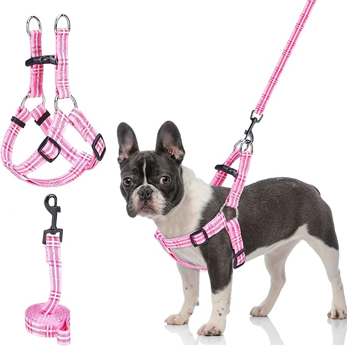 BEAUTYZOO No Pull Small Dog Harness and Leash Set, No Chock Puppy Step in Vest Harness Nylon Lightweight Neck&Chest Adjustable for Dogs Girls and Boy, Pet Harness for Small Medium Dogs