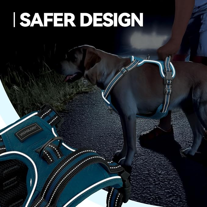 VIVAGLORY Dog Harness Easewalk No Pull Dog Harness with Handle Front Clip & Back Clip for Training Walking Lifting, No Pull Adjustable Easy On Padded Comfortable for Pet, S, Sky Blue - Patterned