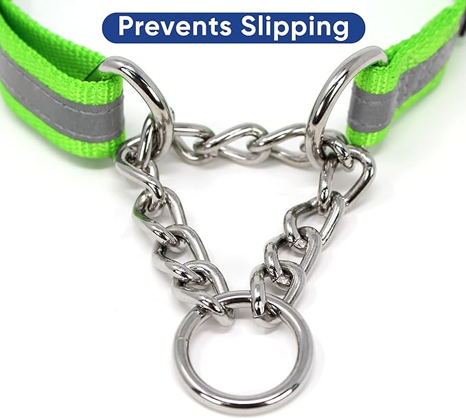 Pawtitas Martingale Dog Collar with Chain a Reflective Dog Training Collar for Large Dogs | Nylon No Pull Dog Collar for Large Dog - Green