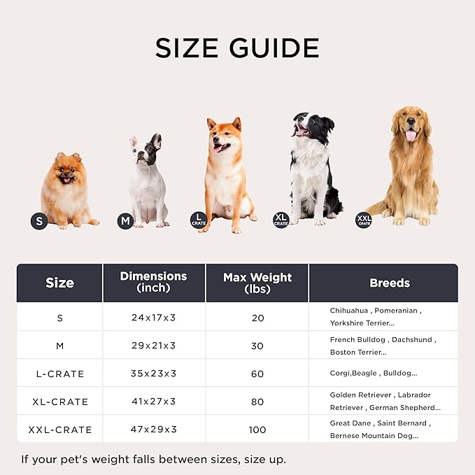 Bedsure Washable XL Dog Bed for Crate for Extra Large Dogs, Comfort Fluffy Plush Pet Pillow Bed Kennel Pad with Non-Slip Bottom, Machine Washable Pet Sleeping Mat, 41"x27", Dark Gray