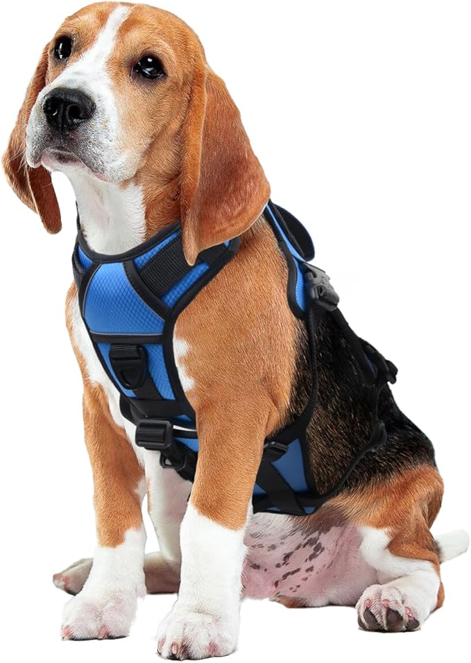 AUROTH Escape Proof No Pull Dog Harness with Lift Handle, Soft Padded Reflective Adjustable Vest, Large for Walking Hiking Training